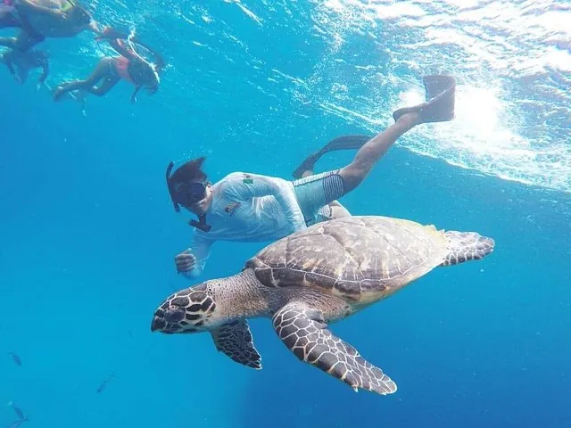 A snorkeler swims closely beside a sea turtle in clear blue water.